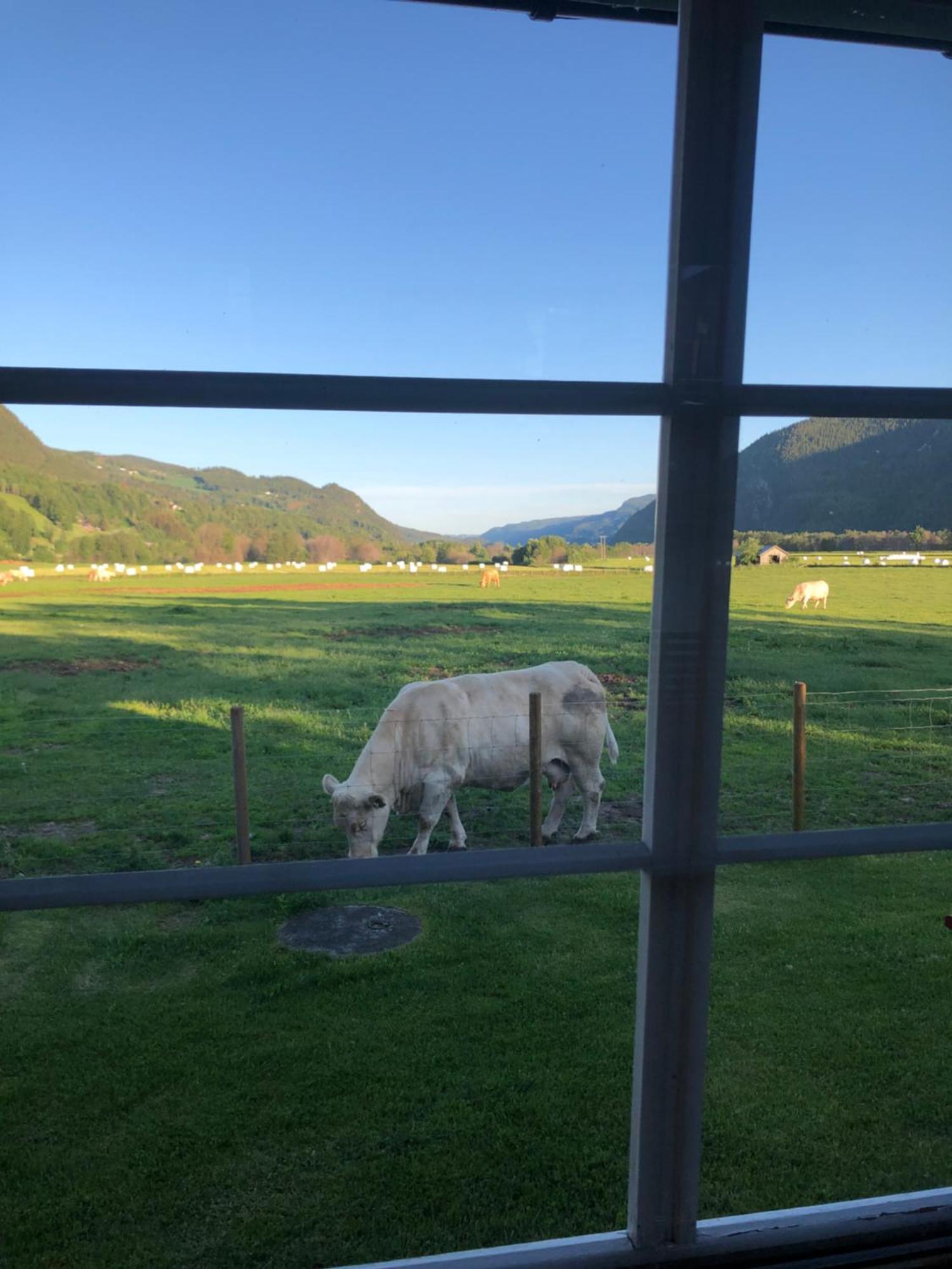 Villa Soltun Ringebu Exteriör bild