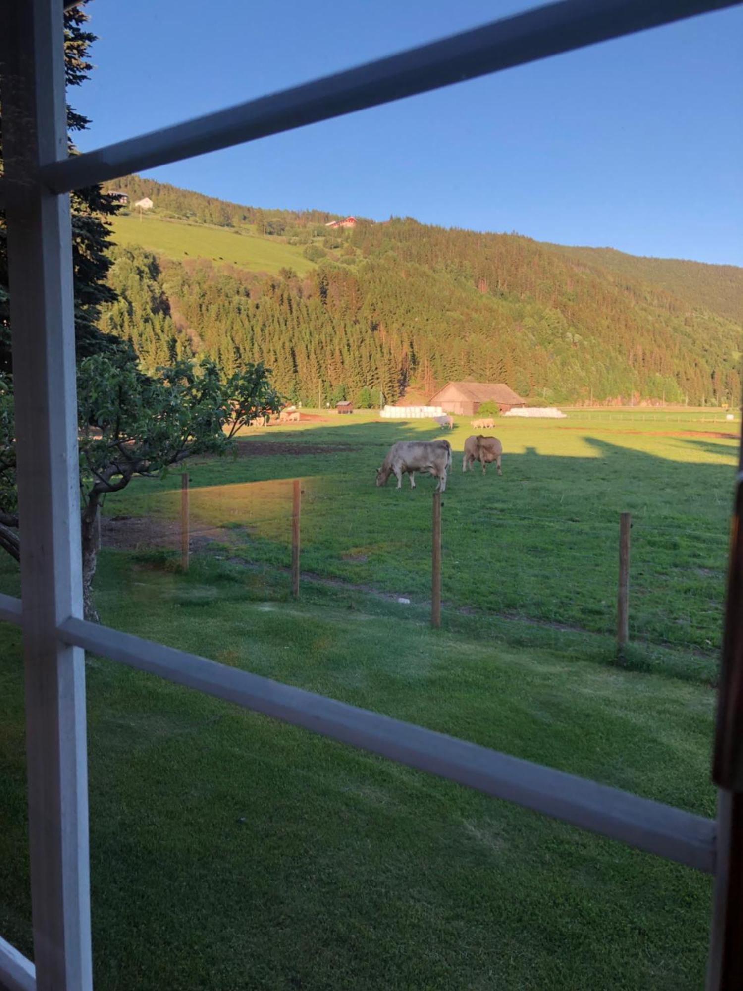 Villa Soltun Ringebu Exteriör bild